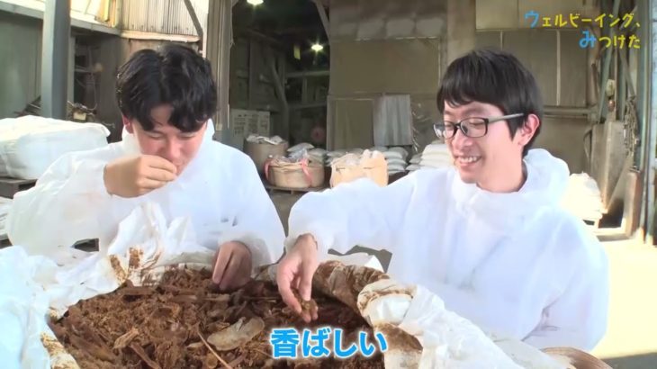 静岡鉄道株式会社 後篇【ウェルビーイング、みつけた】#75