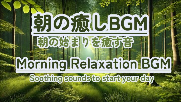 【朝の癒しBGM/瞑想】 #healing  #癒し #瞑想  #meditation #心が落ち着く音楽 #relaxingmusic #music #healingbgm #鳥のさえずり