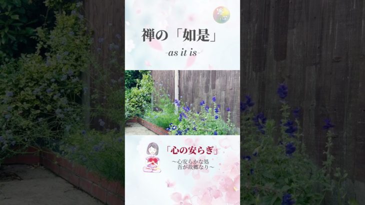 禅の「如是」, ありのままの知恵, as it is#shorts #悟り #スピリチュアル #潜在意識 #心のケア #心の癒し #癒し #心の成長 #頓悟法語 #インナーヒーリング #覚醒