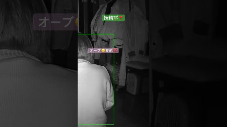 #オーブ#発光体#スピリチュアル#座敷わらし#妖精#fairy#dog#犬#かわいい