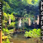 【九頭竜大社/弁財天】パワースポットでスピリチュアル！まさか京都でこの氣を感じられるとは！！