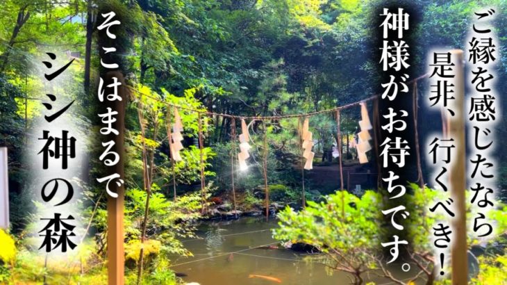 【九頭竜大社/弁財天】パワースポットでスピリチュアル！まさか京都でこの氣を感じられるとは！！