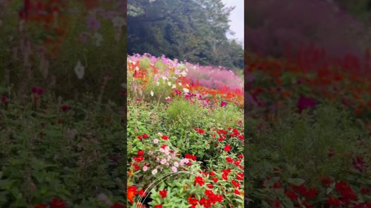 #スピリチュアル#幸せ