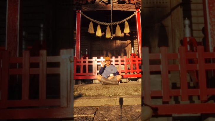 【⛩️神の子ドミ】#スピリチュアル #ハチワレ #ハチワレ猫 #神社 #神 #神様 #猫のいる暮らし #にゃんこ #保護猫 #野良猫 #捨て猫 #猫 #ネコ #ねこ #感動 #癒し #猫好き #猫動画