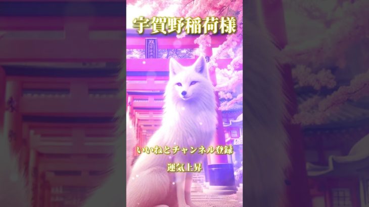 スピリチュアルメッセージ運気上昇恋愛運上昇邪気退散占い師めう金運上昇