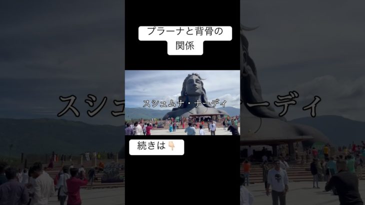 プラーナエネルギー背骨の関係 #スピリチュアル #解説 #解説動画