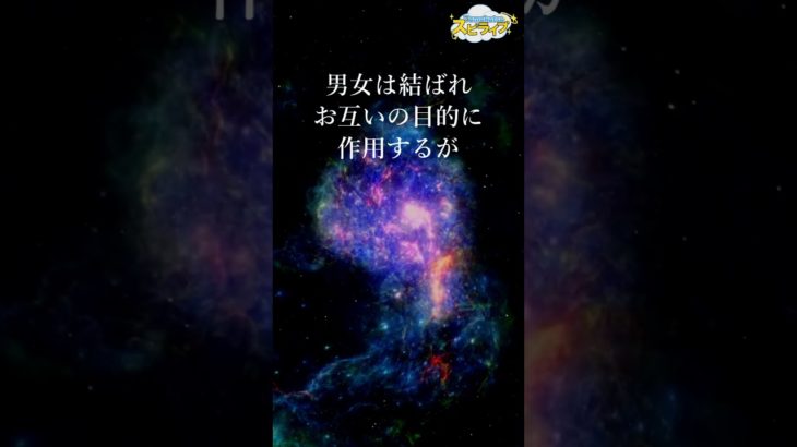 性別の超越と魂の目的【金龍アーロンからのスピリチュアルメッセージ】