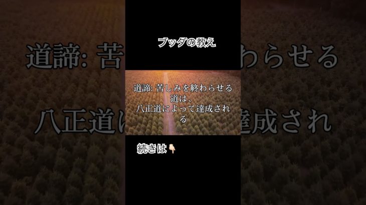 ブッダの教え #解説 #スピリチュアル