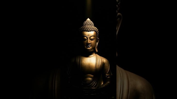 #名言 #ブッダの教え #ブッダ #開運 #金運 #仏教 #スピリチュアル