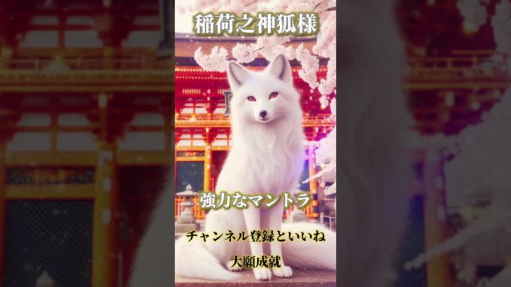 スピリチュアルメッセージ運気上昇恋愛運上昇邪気退散占い師めう金運上昇