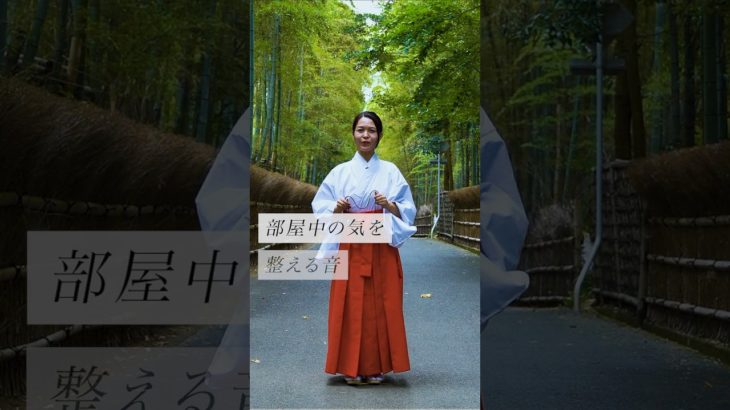 部屋中の気を整える音✨ #スピリチュアル#スピリチュアルメッセージ#スピリチュアルカウンセラー#浄化#波動#運気#邪気祓い