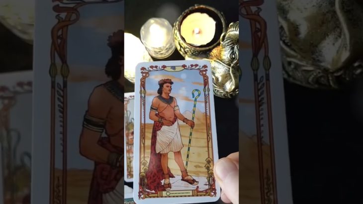 2倍速💞通常VerはTiktokへ#占い #タロット #fortune #スピリチュアル #恋愛タロット #おみくじ #恋占 #音信不通 #タロットリーディング #恋愛心理学 #恋愛運 #復縁したい