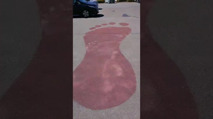 【大観音の足跡🐾】#スピリチュアル #神様 #神 #群馬県 #群馬 #コールダック #アヒル #メンフクロウ #フクロウ #owl #duck #散歩 #旅 #旅行 #癒し #神秘 #神社 #かわいい