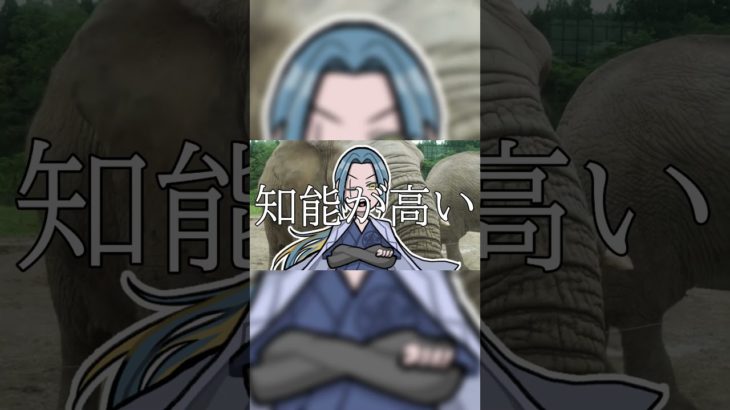 地盤　その２　#都市伝説 #スピリチュアル #怖い話#shorts #雑学 #不思議な事実