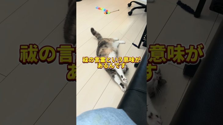 「おかえりなさい」の言霊がやばすぎる#スピリチュアル #願望実現 #宇宙の法則 #幸せの法則 #開運