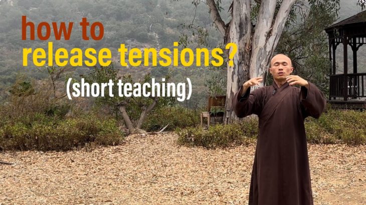 HOW to RELEASE TENSION? | WELL-BEING Qigong Routine (Short Teaching)