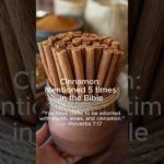 Eat Like Jesus.#bible#cleaneating#wellness#wellbeing#foryou#wellnesstips#health#God#Jesus#faith