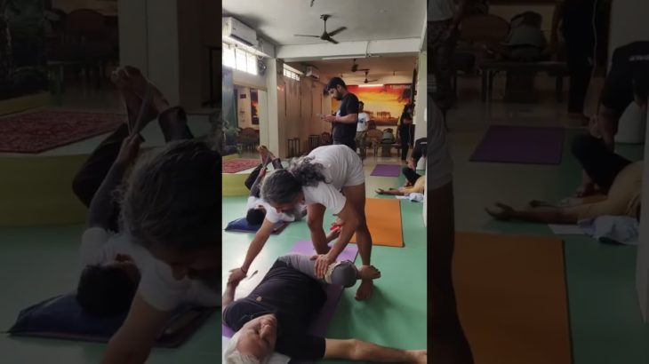 How Medical Yoga Can Support Your Health | YogaPeace#YogaForHealth #TherapeuticYoga #YogaPeace