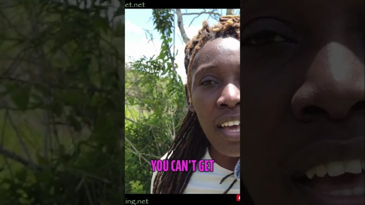 Nature’s Healing Power | Reconnecting for Total Well being 1