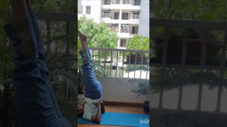 Shoulder Stand: Reversing gravity, revolutionizing your well-being. #sarvangasana #trendingshorts