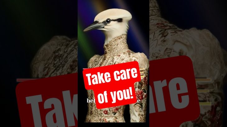 Take care of you – before it’s too late #time #wellbeing #bird
