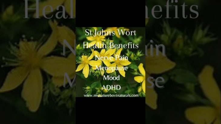 🌿 Thinking about natural ways to boost your mood and well-being? Let’s chat about St. John’s Wort!