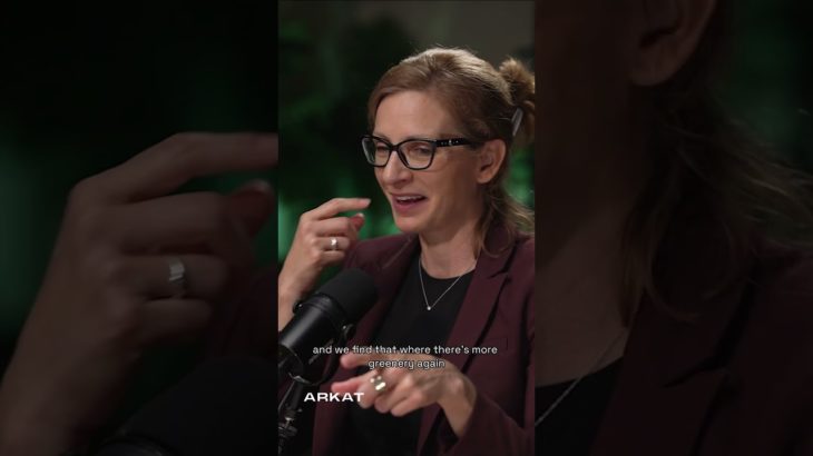 How Cities Can Support or Suppress Our Wellbeing?