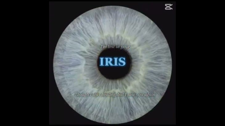 Maybe doesn’t make sense #vent#wellbeing#fyp#rejection