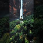 Nature is Therapy #nature #therapy #wellness #healing #outdoors #wellbeing #healing #naturelovers