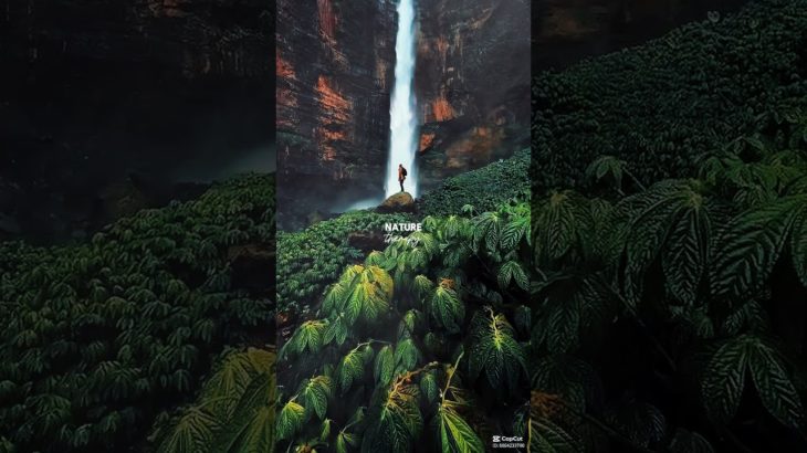 Nature is Therapy #nature #therapy #wellness #healing #outdoors #wellbeing #healing #naturelovers