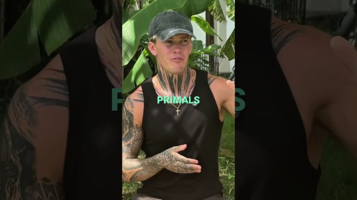 Primal Living: Why Darkness Boosts Your Well-being