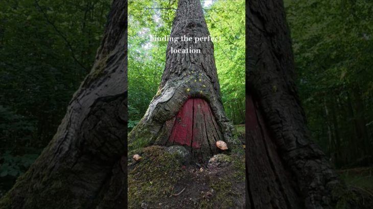 Finding The Perfect Location | Wellbeing #wellbeing #breathwork #vanlifeuk #vandweller #fyp #vanlife