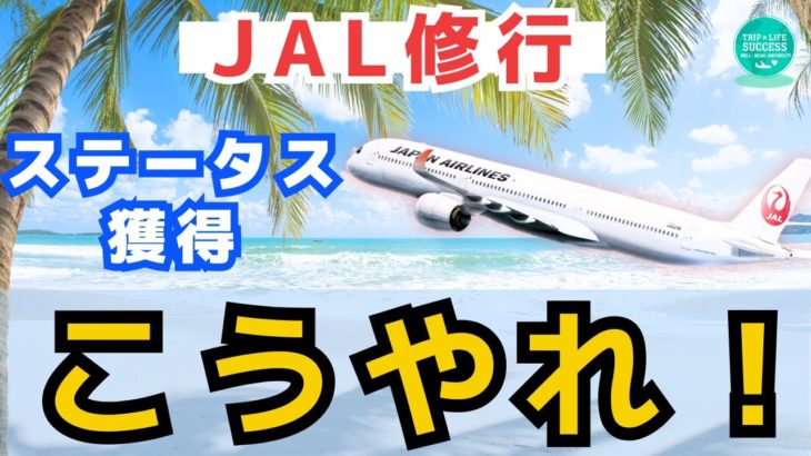 【JAL ステータス 修行】考え方とやり方を解説！ライフステータスプログラム JGC 4スター 6スター JGC修行 JAL修行 マイル修行 LSP 回数修行 ダイヤ ANA