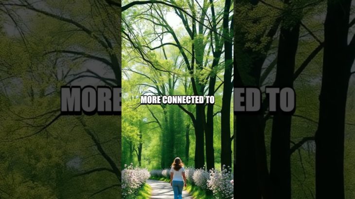 The Benefit of Nature on Mental Wellbeing