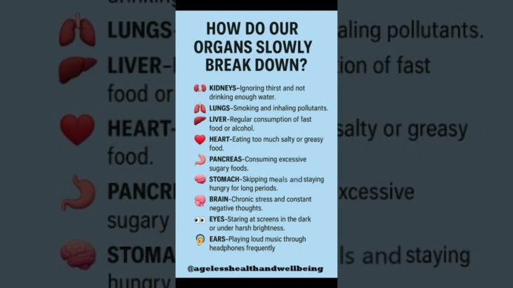 Everyday Mistakes That Slowly Break Down Your Organs