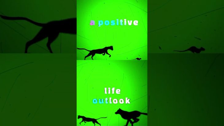 TOP Daily Shifts for Complete Well-being#youtubeshorts #shortsvideo #cat