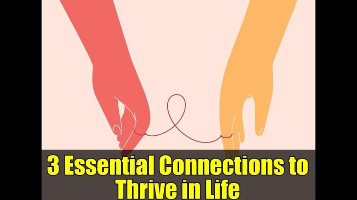 3 Essential Connections to Thrive in Life | Psychology Tips for Well-Being