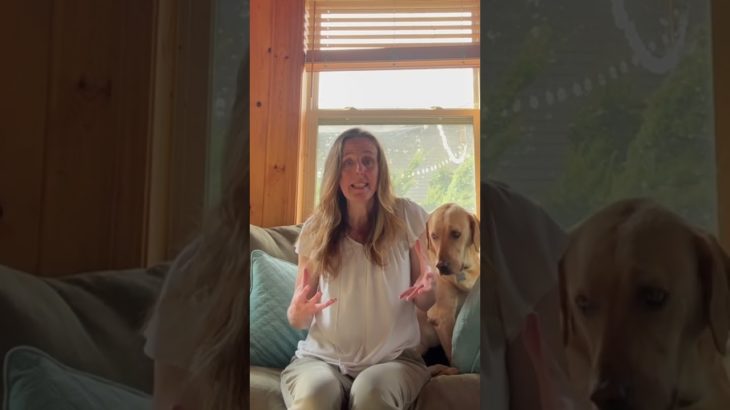 The Importance of Holistic Well-being for Founders/Entrepreneurs – Pt 2