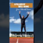 6 Pillars of Well-Being – You Should Know! #wellbeing #mindfulness #selfcare #mentalhealth