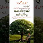 Well-being in this world and the Hereafter #islamicstatus #shorts @ArzooMegicalVibes