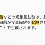 腸内フローラとウェルビーイング-お腹の中の細菌が心と身体の健康をつくる-