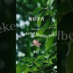 【 #6 明日配信 】ウィークエンド・ウェルビーイング #podcast #ビジネス書 #自己啓発